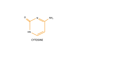  Cytosine-to-Uracil