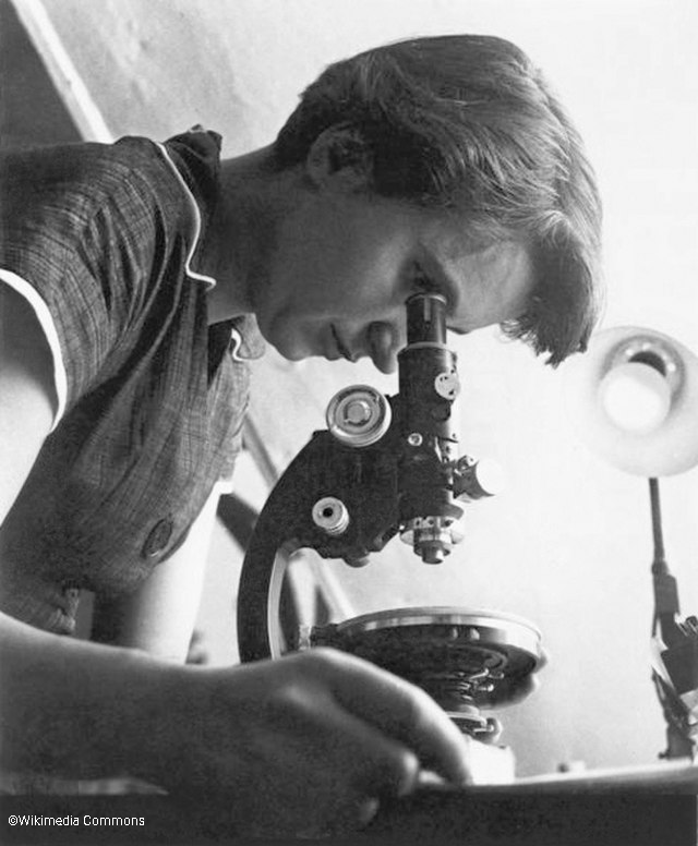 Rosalind Franklin - World DNA Day 2021