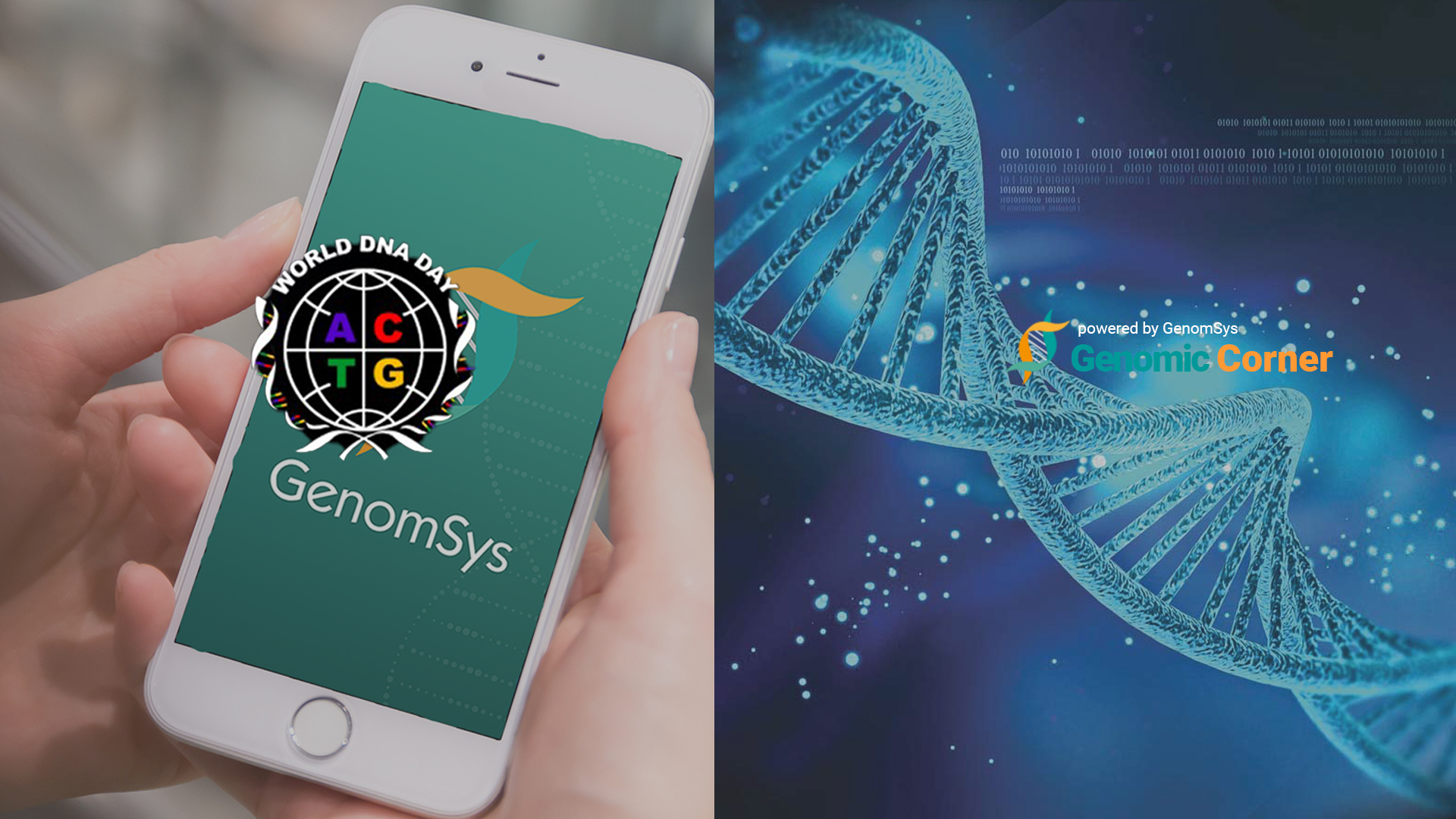 What is DNA, and what is its size?