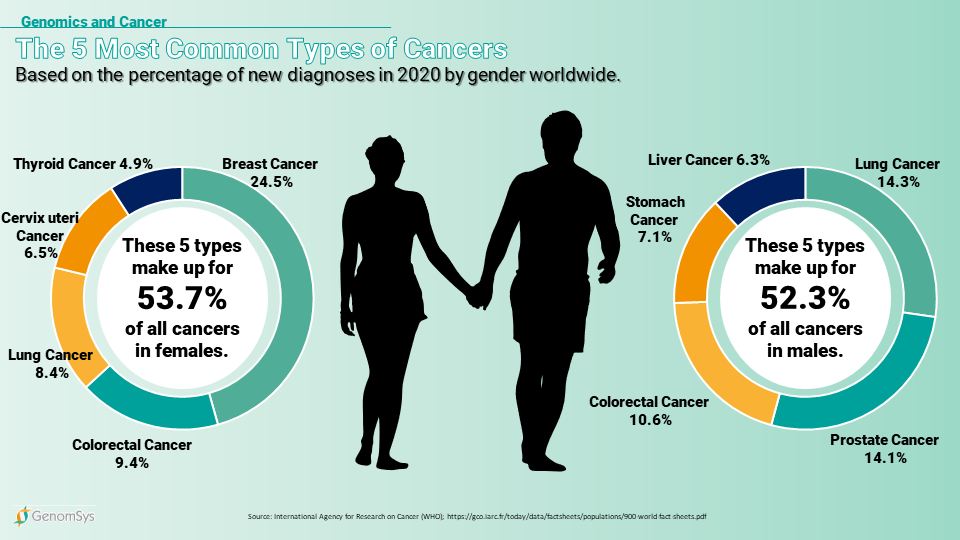 GenomSys - Genomics and Cancer - Top Cancer Types (female & male)