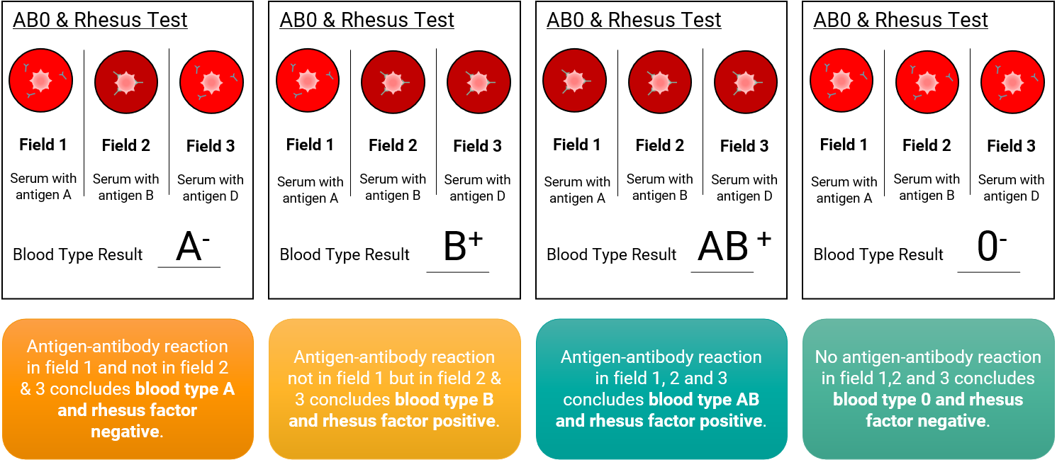 GenomSys - AB0 + Rh Mechanism