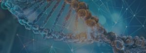 GenomSys Announces Exclusive Software Distribution Agreement in Jordan with Genetics Company for Biotechnology